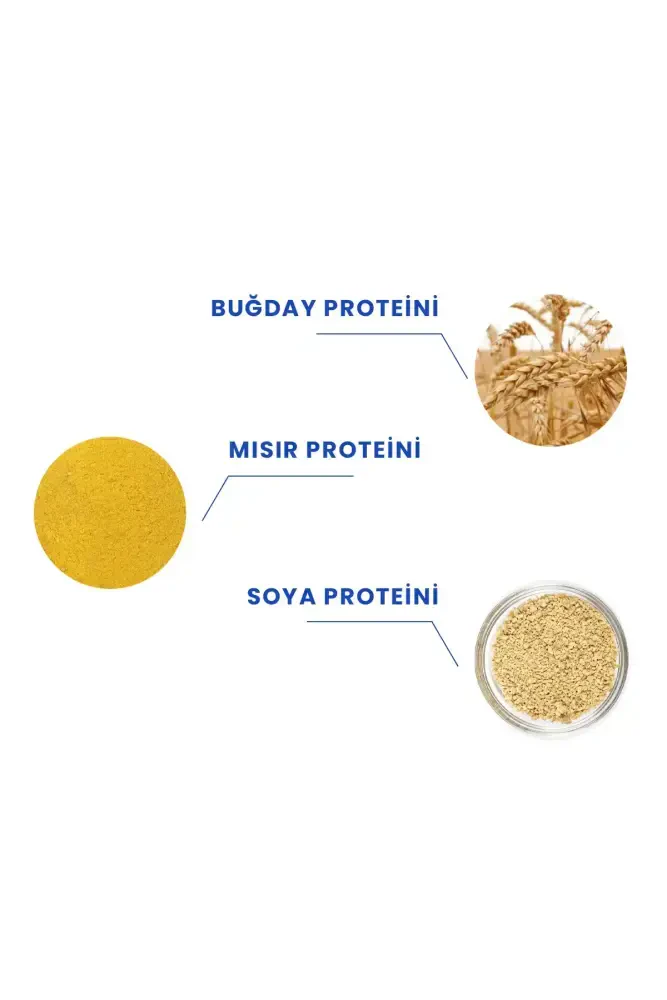 PROCSIN Magic Mix Kırılma Önleyici + Elektriklenme Karşıtı 2 Fazlı Saç Kondisyoneri 150ML - 3